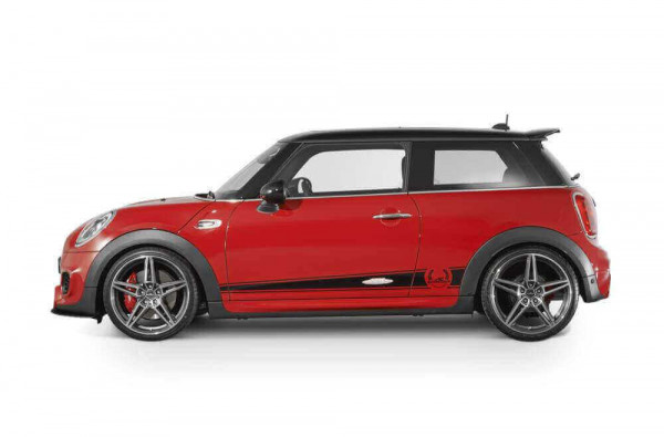Mini AC Schnitzer 19