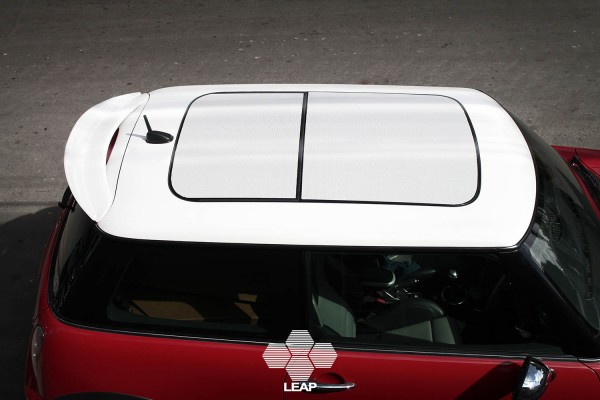 LEAP Alpha R53 MINI Spoiler Lip | Orranje Performance