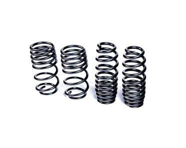 MMX Performance LOWERING SPRINGS F56