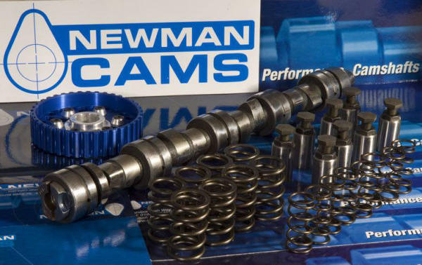 Newman Camshafts MINI Cooper S R50 R52 R53 | Orranje