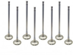 Supertech R56 N14 N18 Exhaust Valves Inconel