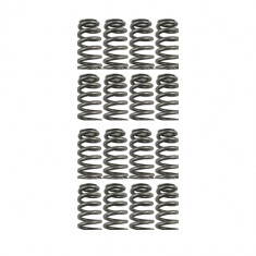 Cat Cams PAC Racing Valve Springs PAC-E99862 R53