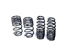 MMX Performance LOWERING SPRINGS F56
